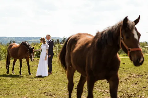Fotografia ślubna